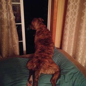 Meet your Posher, Kellie